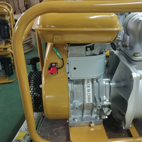 Gasoline generator 2400W (GX2410 ) with robin gasoline engine 5HP ( EY20) for light construction machinery